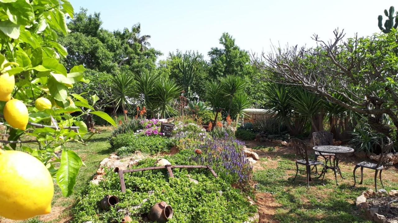Retiro Da Janela Bed and Breakfast Boliqueime Buitenkant foto
